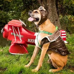 Meet your Posher, Janae